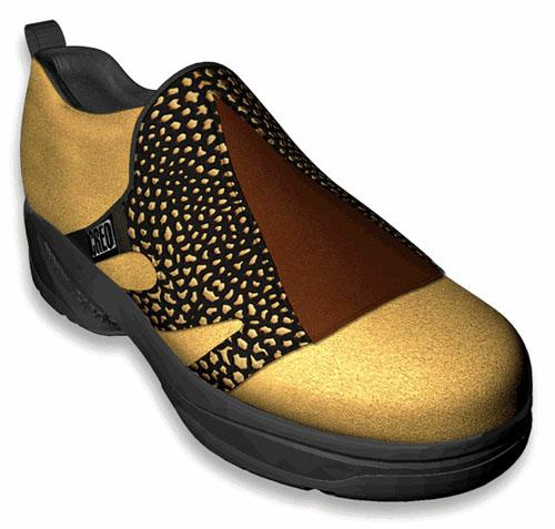 The shoe senf