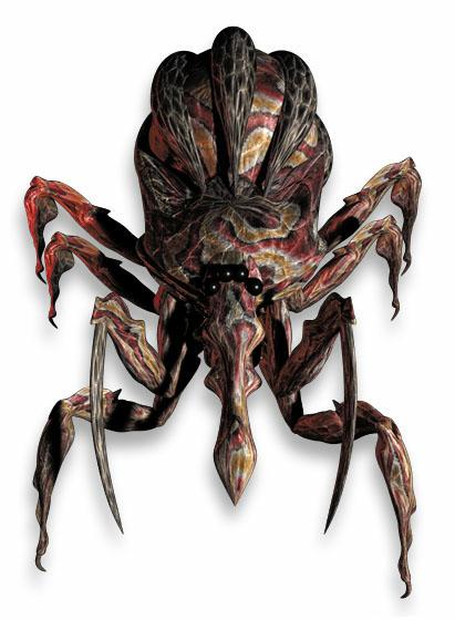 The Bug