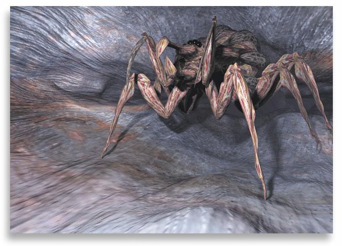 The Bug 2