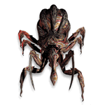 the bug